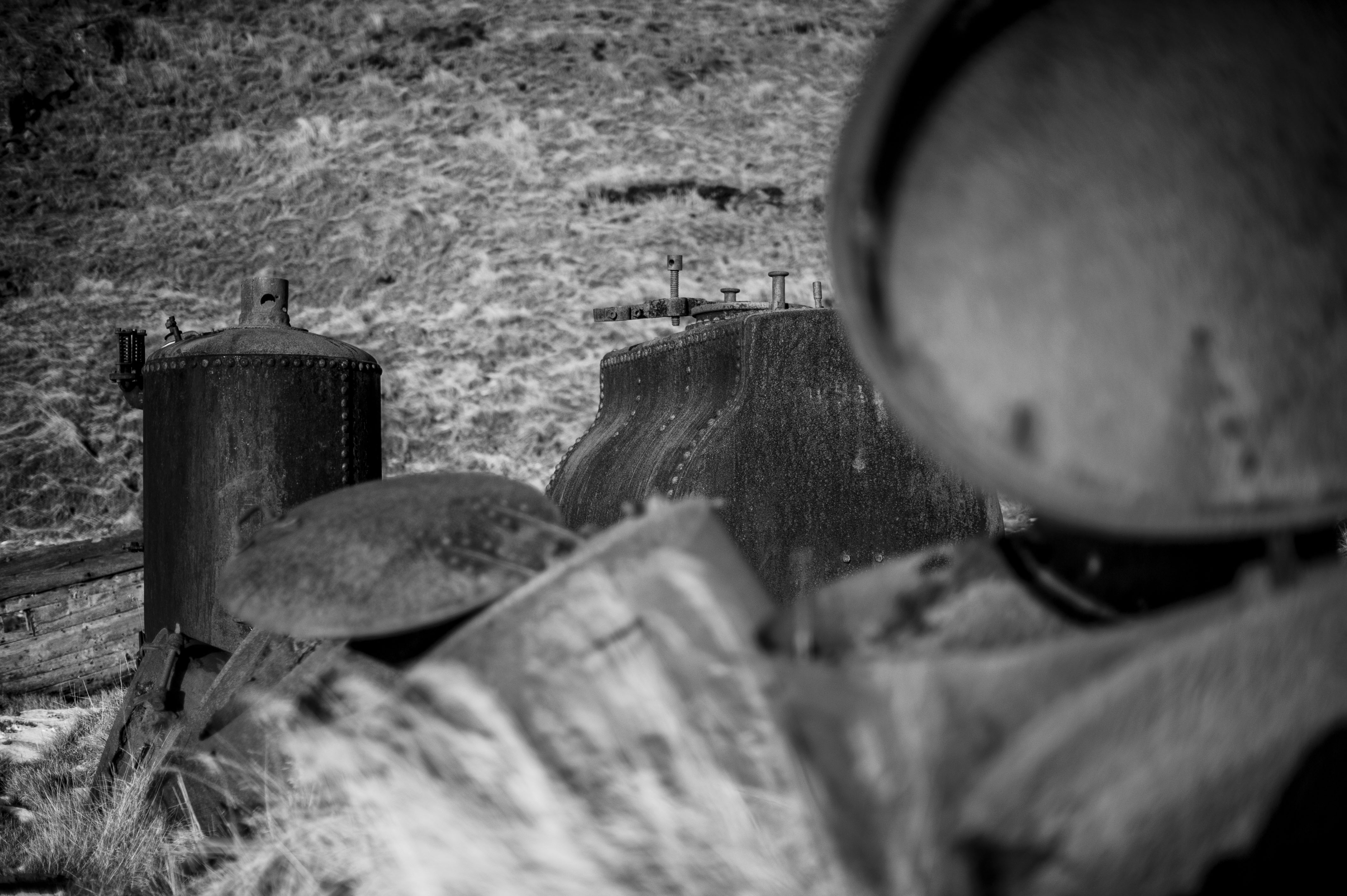 GYT 20220706 075400  DSC6616 2